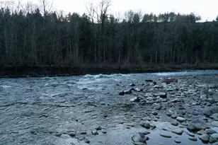 28821 SE Paradise Rd, Eagle Creek, OR 97022 - Photo 23