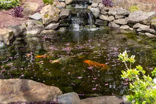 45585 NW David Hill Rd, Forest Grove, OR 97116 - Photo 39