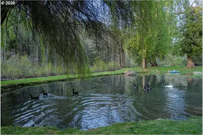 42801 Island Inn Dr, Lebanon, OR 97355 - Photo 41