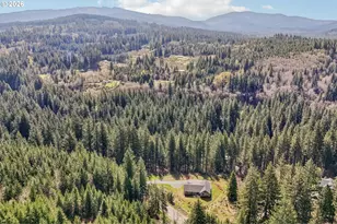 30307 NE Sunset Falls Rd, Yacolt, WA 98675 - Photo 47