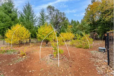 335 Cornett Ln, Cave Junction, OR 97523 - Photo 13