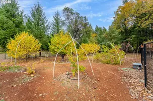 335 Cornett Ln, Cave Junction, OR 97523 - Photo 13