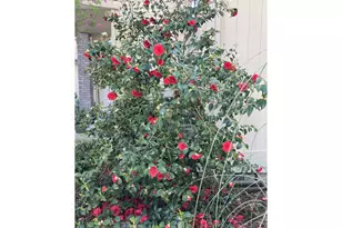 4366 Berry Ln, Eugene, OR 97404 - Photo 39