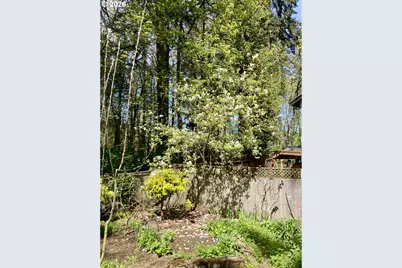 4366 Berry Ln, Eugene, OR 97404 - Photo 41