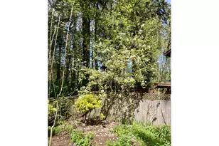 4366 Berry Ln, Eugene, OR 97404 - Photo 41