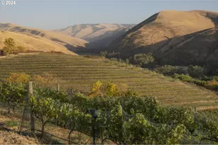 [Address not provided], Milton-Freewater, OR 97862 - Photo 1