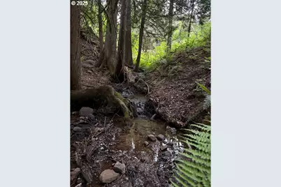 232 Upper Lakeview Rd, White Salmon, WA 98672 - Photo 43