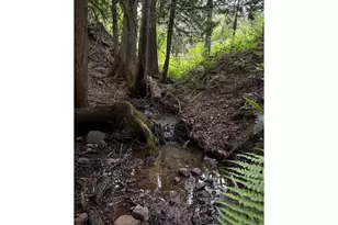 232 Upper Lakeview Rd, White Salmon, WA 98672 - Photo 43