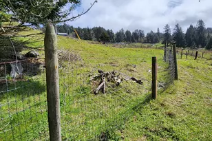 96512 Martin Ranch Rd, Brookings, OR 97415 - Photo 31