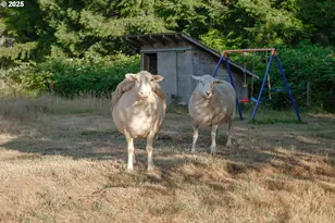 92693 T T Larson Rd, Astoria, OR 97103 - Photo 43