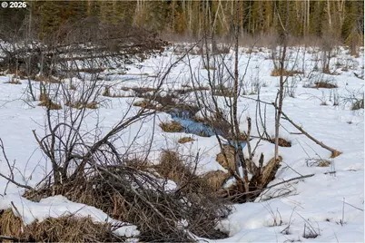 93732 E Highway 26, Government Camp, OR 97028 - Photo 27