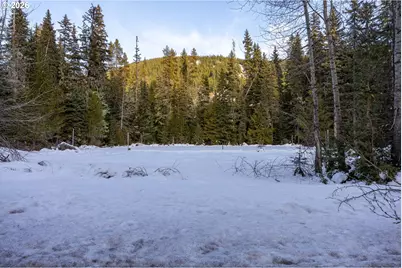 93732 E Highway 26, Government Camp, OR 97028 - Photo 25