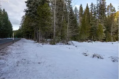 93732 E Highway 26, Government Camp, OR 97028 - Photo 23