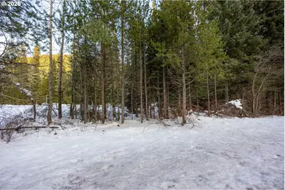 93732 E Highway 26, Government Camp, OR 97028 - Photo 21