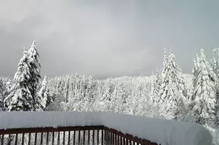 9514 S Schooner Creek Rd, Otis, OR 97368 - Photo 21