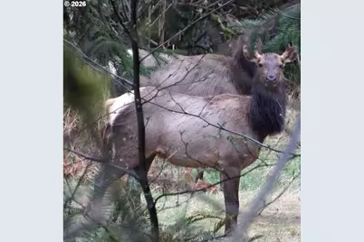 9514 S Schooner Creek Rd, Otis, OR 97368 - Photo 23