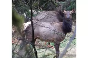 9514 S Schooner Creek Rd, Otis, OR 97368 - Photo 23