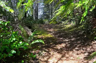 9514 S Schooner Creek Rd, Otis, OR 97368 - Photo 33