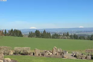 34160 SW Peaks View Dr, Hillsboro, OR 97123 - Photo 11