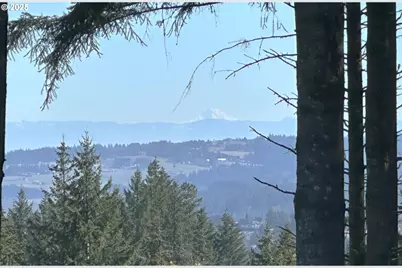 34160 SW Peaks View Dr, Hillsboro, OR 97123 - Photo 13