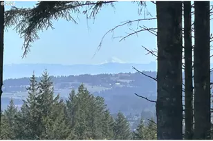 34160 SW Peaks View Dr, Hillsboro, OR 97123 - Photo 13