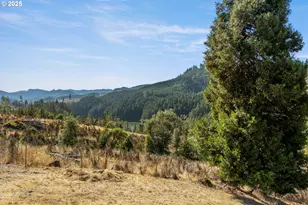 1870 Lakeview Dr, Sutherlin, OR 97479 - Photo 43