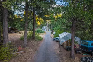 55533 McKenzie River Dr, Blue River, OR 97413 - Photo 19