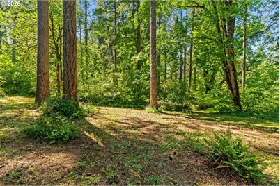81482 Lost Creek Rd, Dexter, OR 97431 - Photo 13