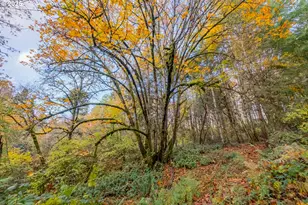 6000 River Rd S, Salem, OR 97302 - Photo 39