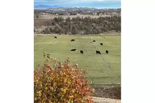 950 SE Dover Ln, Madras, OR 97741 - Photo 7