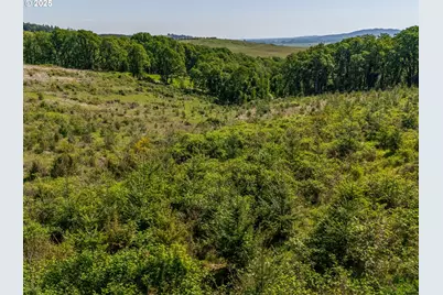 0 Red Hawk Ln #2, Sheridan, OR 97378 - Photo 33