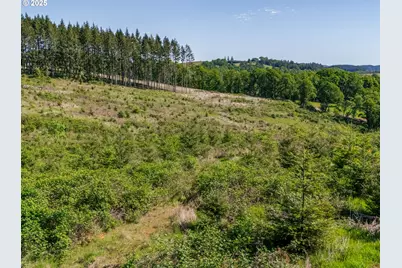 0 Red Hawk Ln #2, Sheridan, OR 97378 - Photo 19