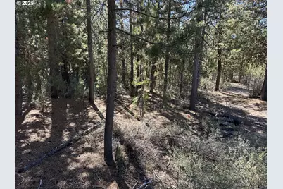 Crescent Moon Drive #30, Crescent Lake, OR 97733 - Photo 1