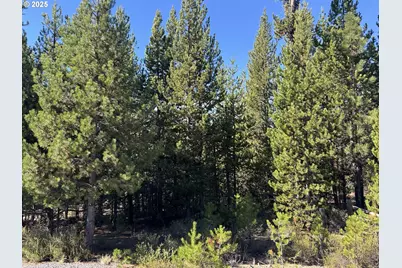 Crescent Moon Drive #30, Crescent Lake, OR 97733 - Photo 13