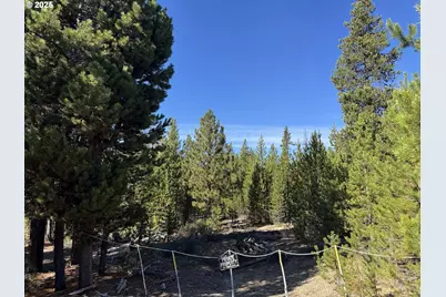 Crescent Moon Drive #30, Crescent Lake, OR 97733 - Photo 29