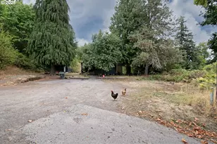 406 Chehalis, Kalama, WA 98625 - Photo 3