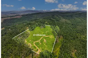 Camas Swale Rd, Creswell, OR 97426 - Photo 1