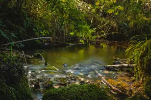 931 N S Low Rd, Seal Rock, OR 97376 - Photo 19