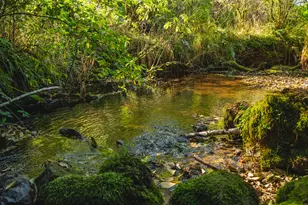 931 N S Low Rd, Seal Rock, OR 97376 - Photo 7