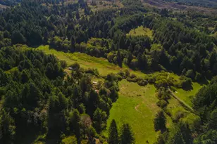 931 N S Low Rd, Seal Rock, OR 97376 - Photo 15