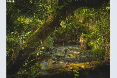 931 N S Low Rd, Seal Rock, OR 97376 - Photo 17