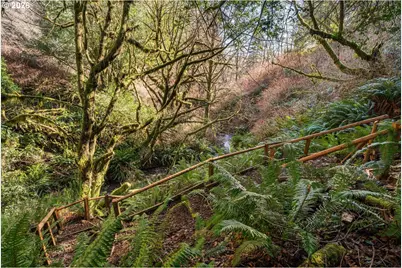 17285 Rustic Ln, Brookings, OR 97415 - Photo 25