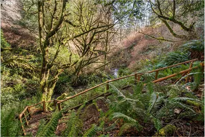 17285 Rustic Ln, Brookings, OR 97415 - Photo 29