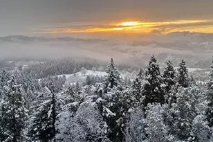 175 Doe Rd, Glide, OR 97443 - Photo 47