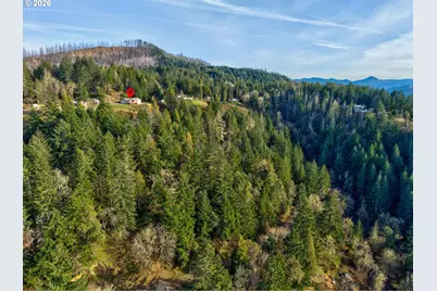 175 Doe Rd, Glide, OR 97443 - Photo 9