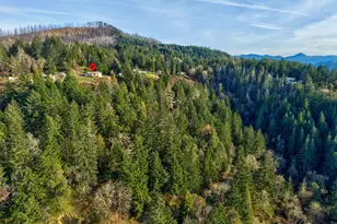 175 Doe Rd, Glide, OR 97443 - Photo 9