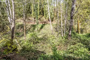 148 W Canyonview Dr, Longview, WA 98632 - Photo 39