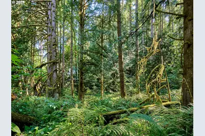 32553 S Dhooghe Rd, Molalla, OR 97038 - Photo 35