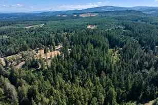 32553 S Dhooghe Rd, Molalla, OR 97038 - Photo 43