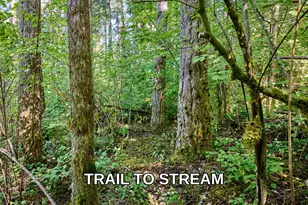 32553 S Dhooghe Rd, Molalla, OR 97038 - Photo 33